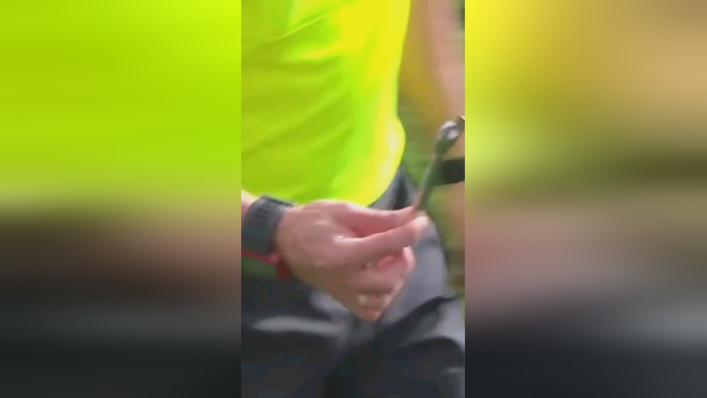 特纳的